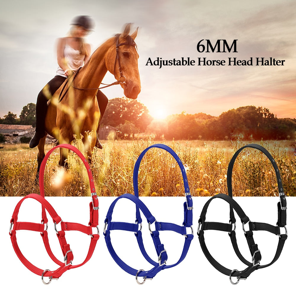 6MM Thickened Horse Head Collar Adjustable Safety Halter Bridle Headcollar Horse Riding Equipment Accessories Horse Lead Rope