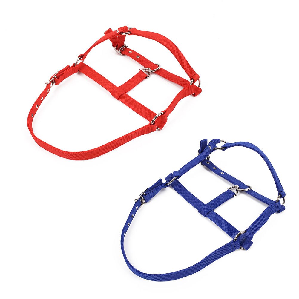 Horse Riding Belt Bridle Adjustable Halter Headstall Horsing Accessory Red/Blue